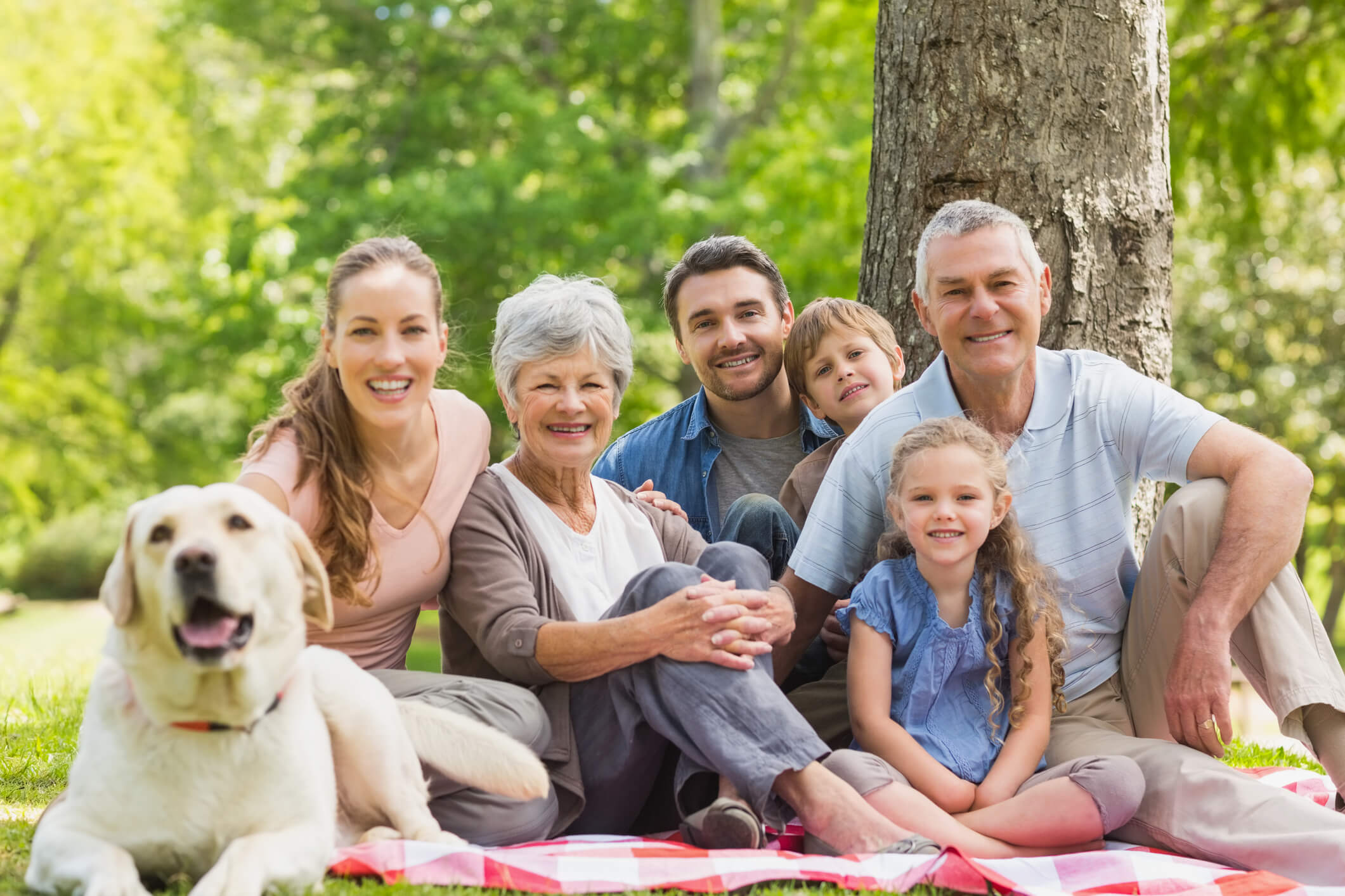 Extended family with their pet dog sitting at park